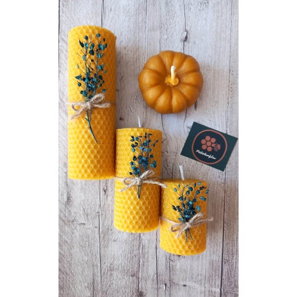 100% Pure Organic Handmade Beeswax Pumpkin Candle - Gift Box Set